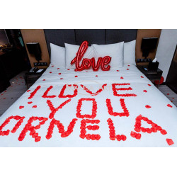Chambre romantique